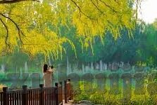 糖心vlog传媒金善雅-糖心vlog传媒与金善雅——多维视角下的内容创新与影响力探索